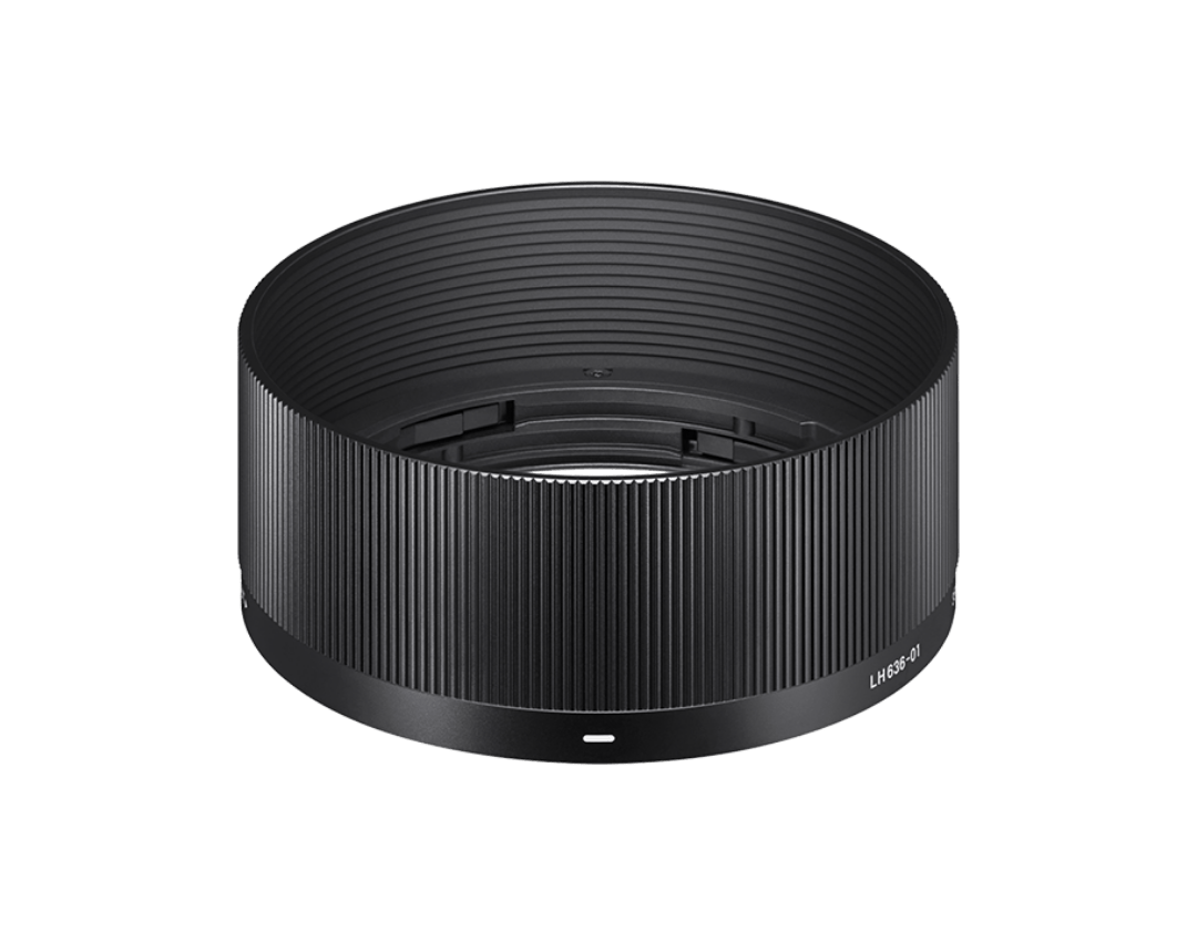 SIGMA 35mm F2 DG DN Lマウント用＋ブラックミストプロテクター SIGMA 35mm F2 DG DN Lマウント用＋ブラックミストプロテクター