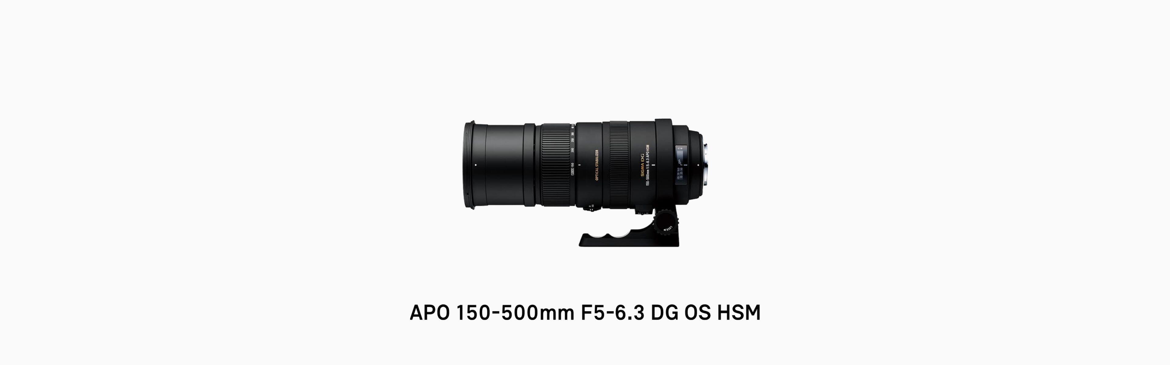 APO 150-500mm F5-6.3 DG OS HSM | Lenses | SIGMA Corporation