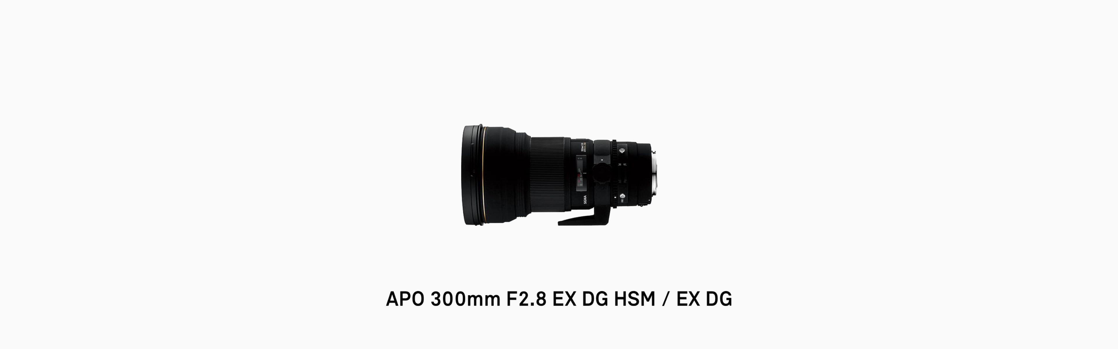 APO 300mm F2.8 EX DG HSM / EX DG