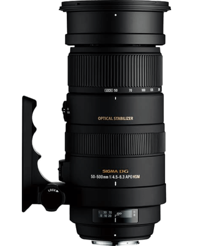 APO 50-500mm F4.5-6.3 DG OS HSM | Lenses | SIGMA Corporation