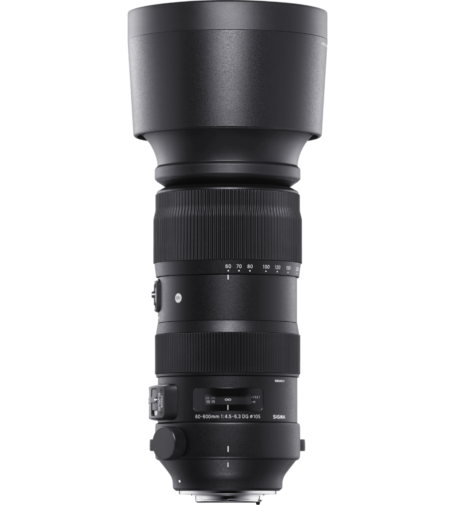 60-600mm F4.5-6.3 DG OS HSM | Sports