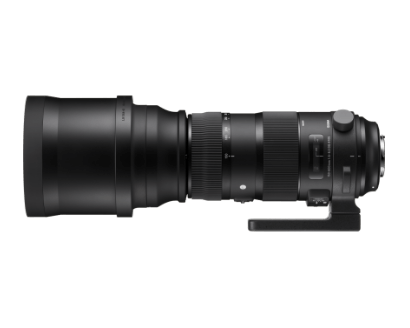 SIGMA 60-600mm F4.5-6.3 DG OS HSM | Sports | SIGMA