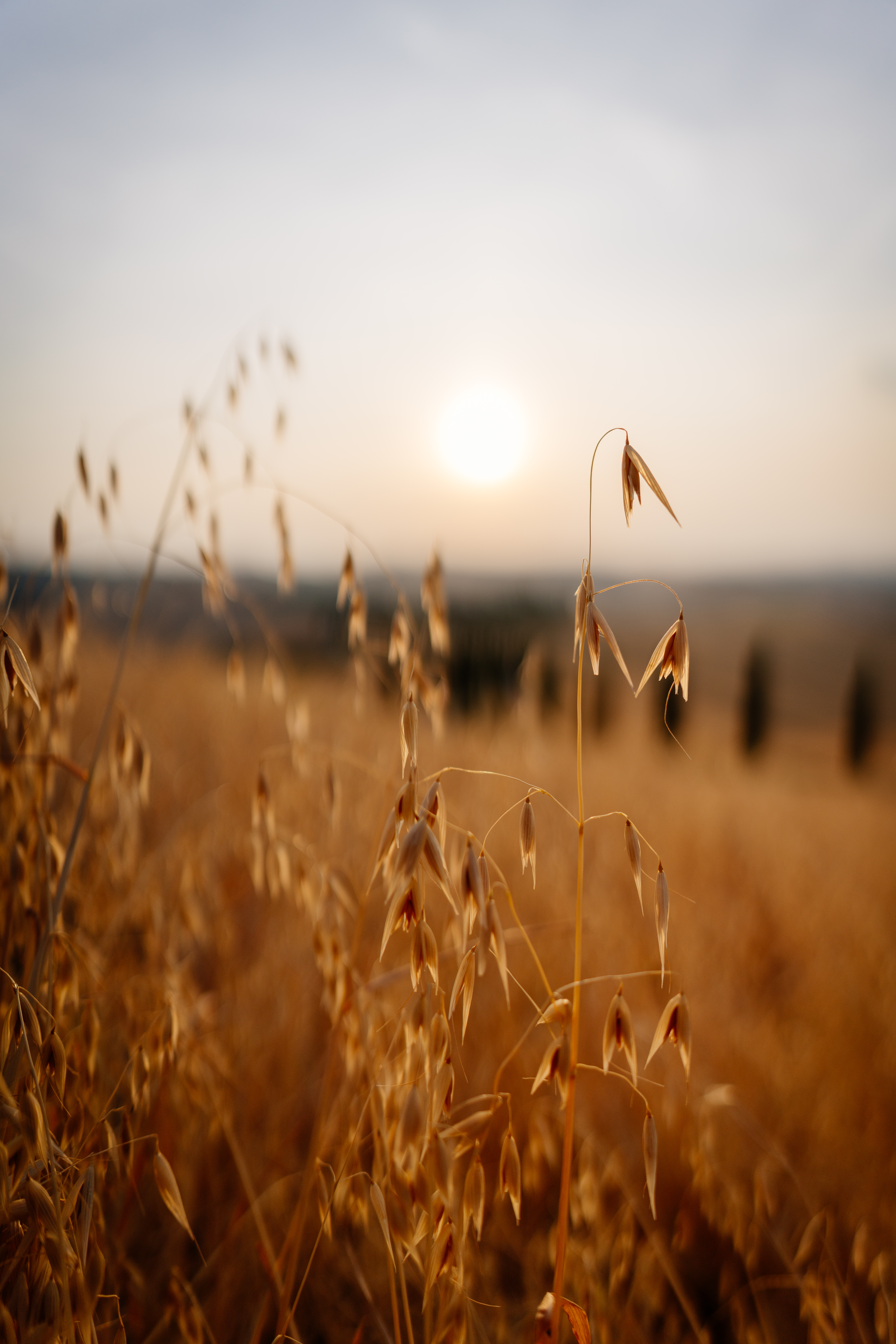24mm F1.4 DG DN | Art Sample photo gallery | Shooting with Sigma | Sigma
