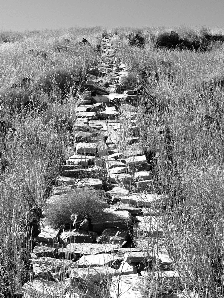 第241回 ユッカ・バレーにある石の彫刻 / Stone Sculpture in Yucca Valley コンテンツ SIGMA