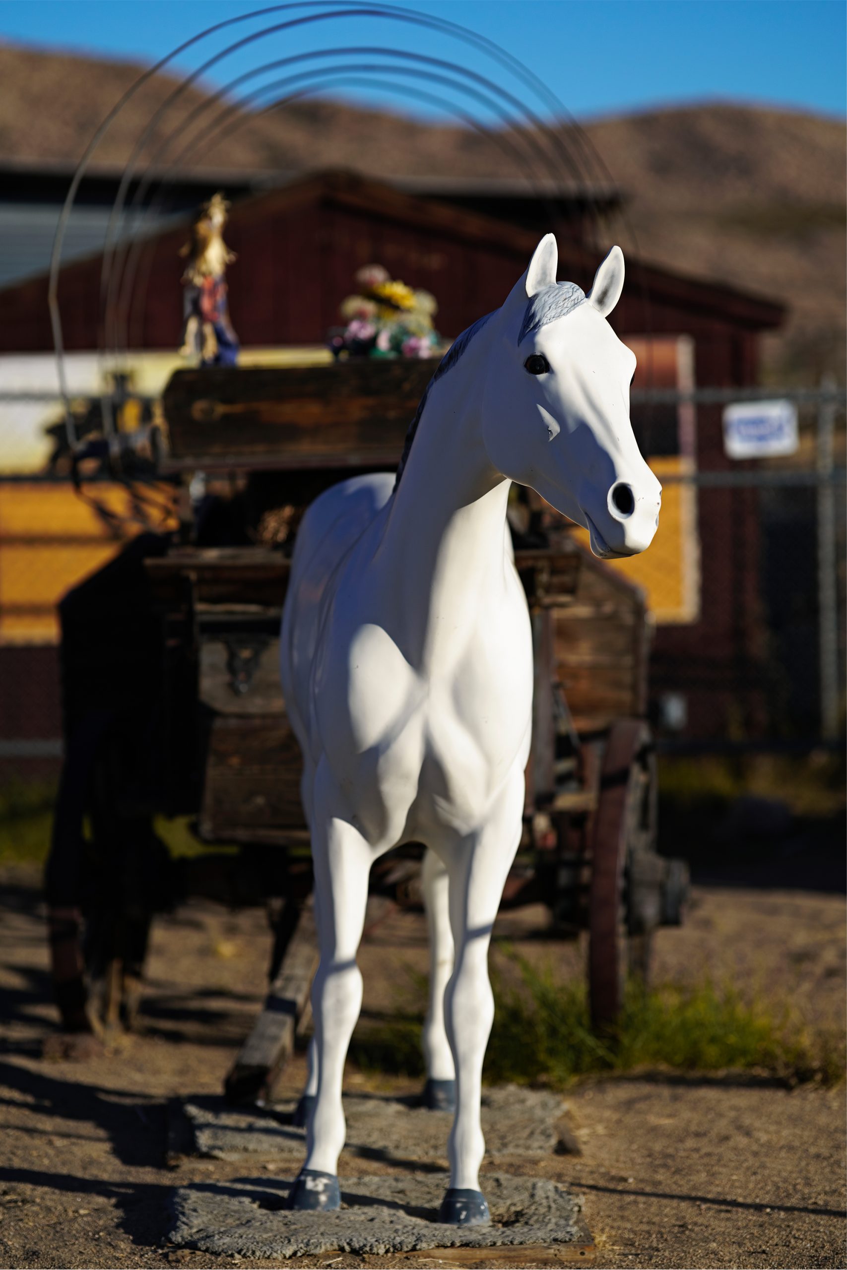第241回 ユッカ・バレーにある石の彫刻 / Stone Sculpture in Yucca Valley コンテンツ SIGMA