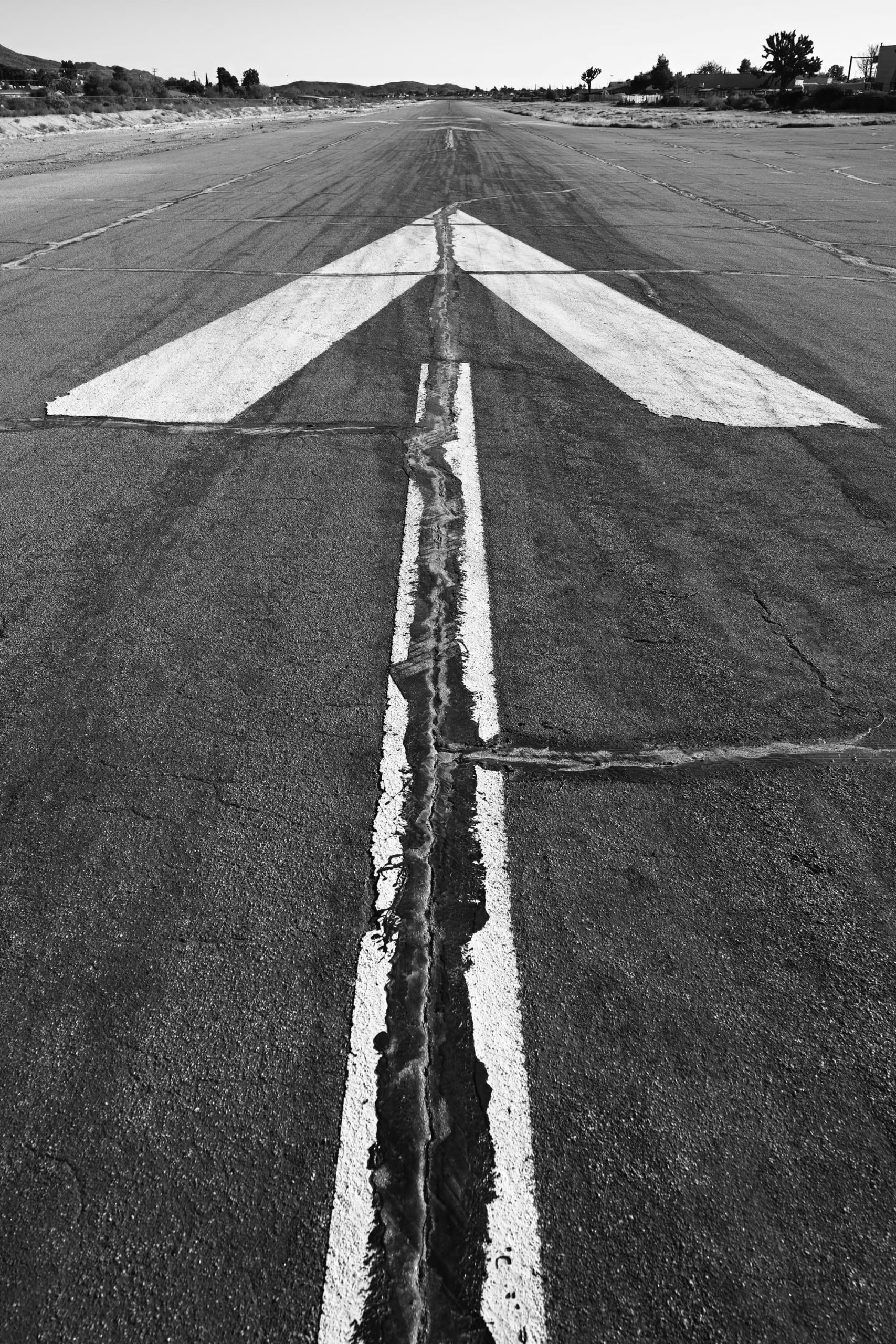 第241回 ユッカ・バレーにある石の彫刻 / Stone Sculpture in Yucca Valley コンテンツ SIGMA
