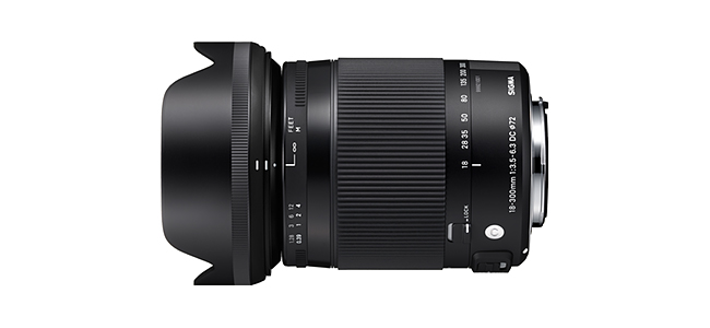 【光学美品】SIGMA 18-300mm DC HSM 高倍率レンズ sony用