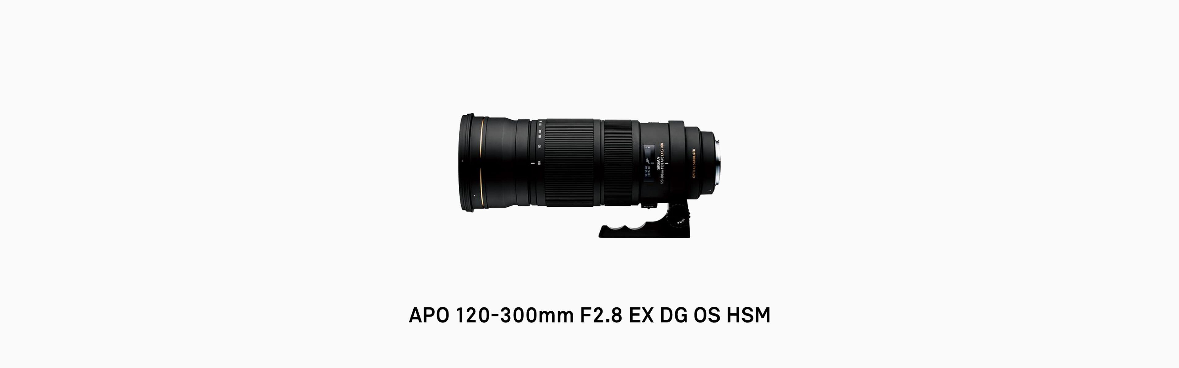 APO 120-300mm F2.8 EX DG OS HSM