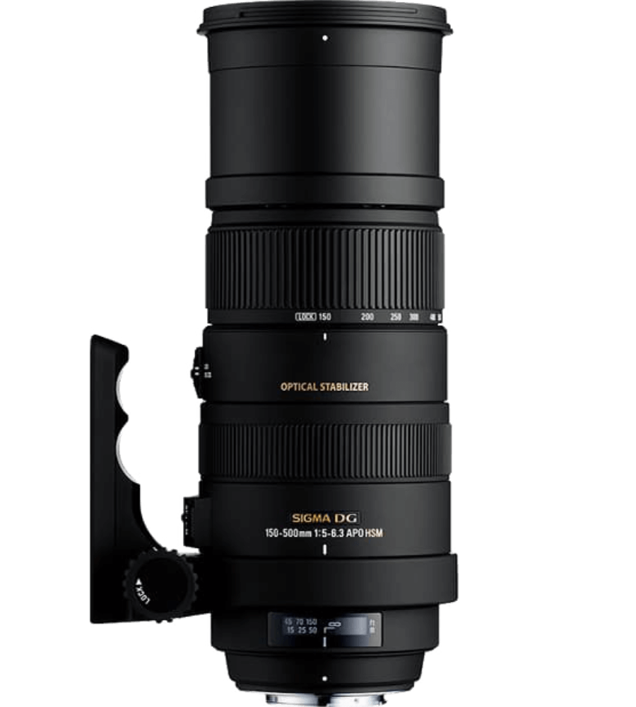 SIGMA シグマ 望遠レンズ 150-500mm