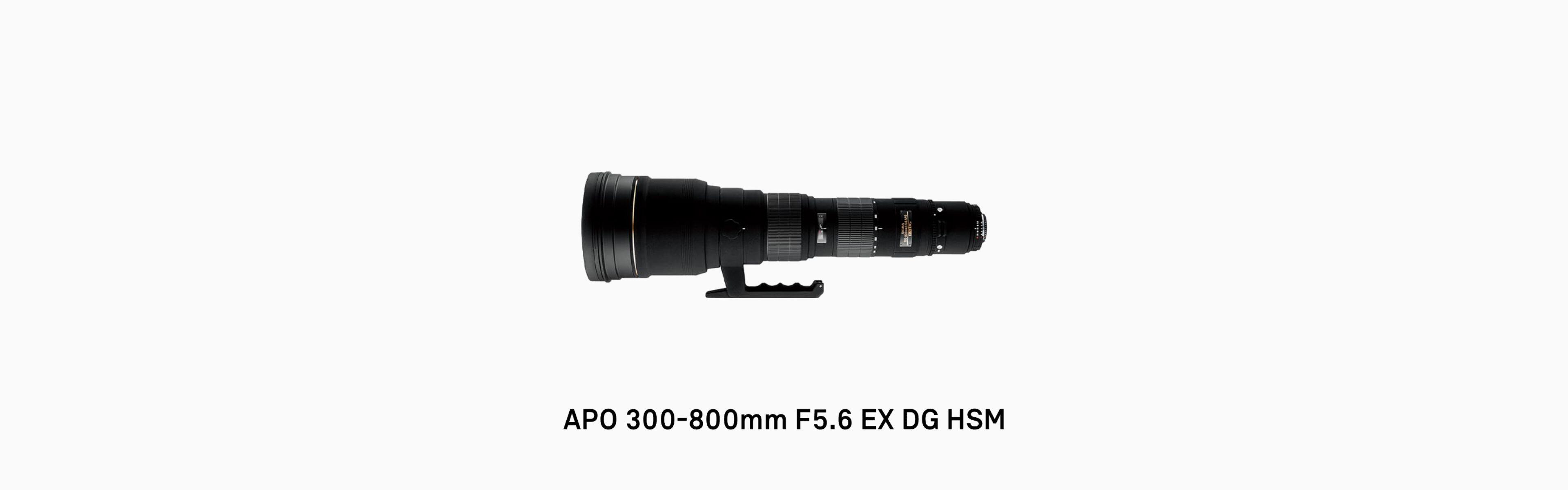 SIGMA APO300-800 5.6 EX DG HSM ニコン