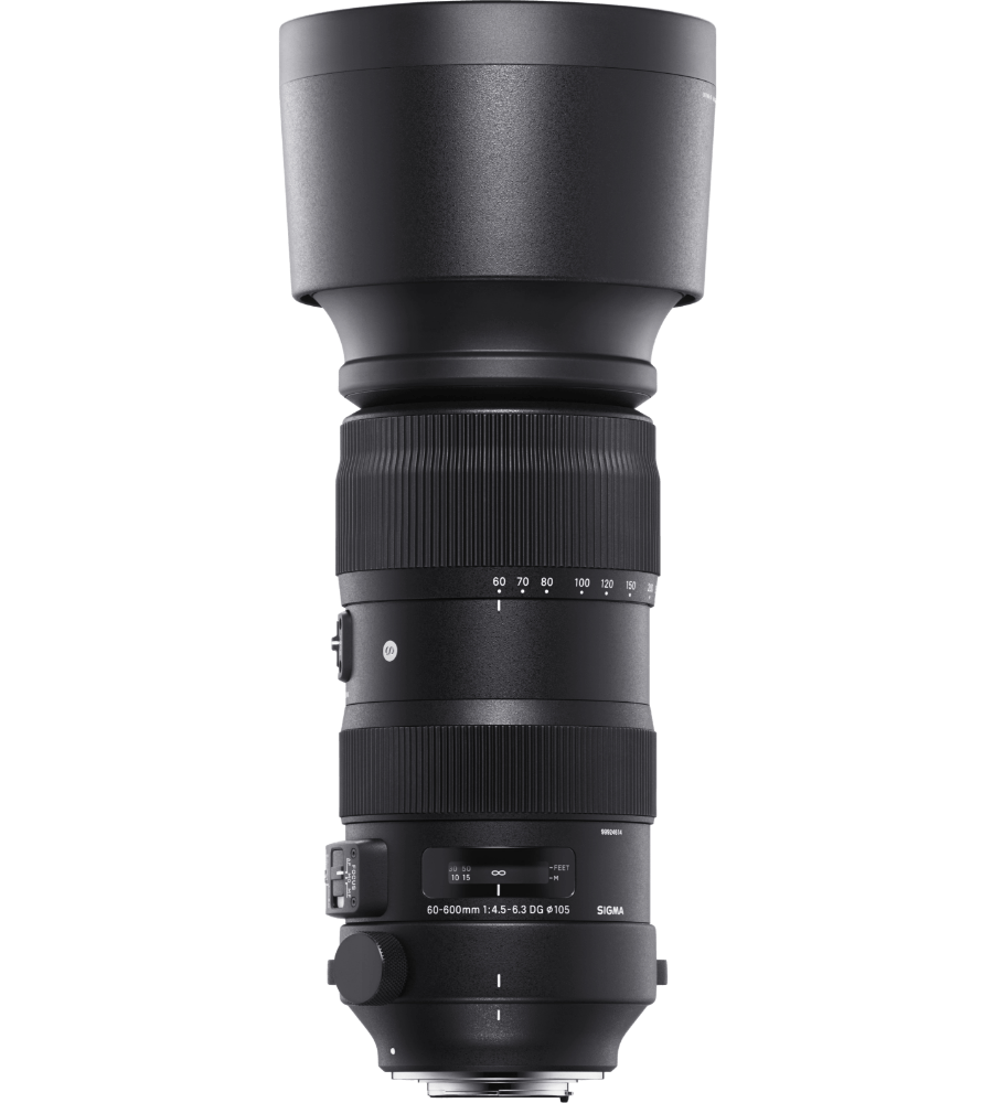 EFマウント 60-600mm [YOS様用]SIGMA 見張ら