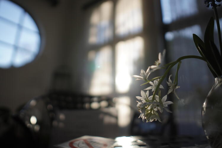 DSC08886 - Toshihiro Abe.JPG