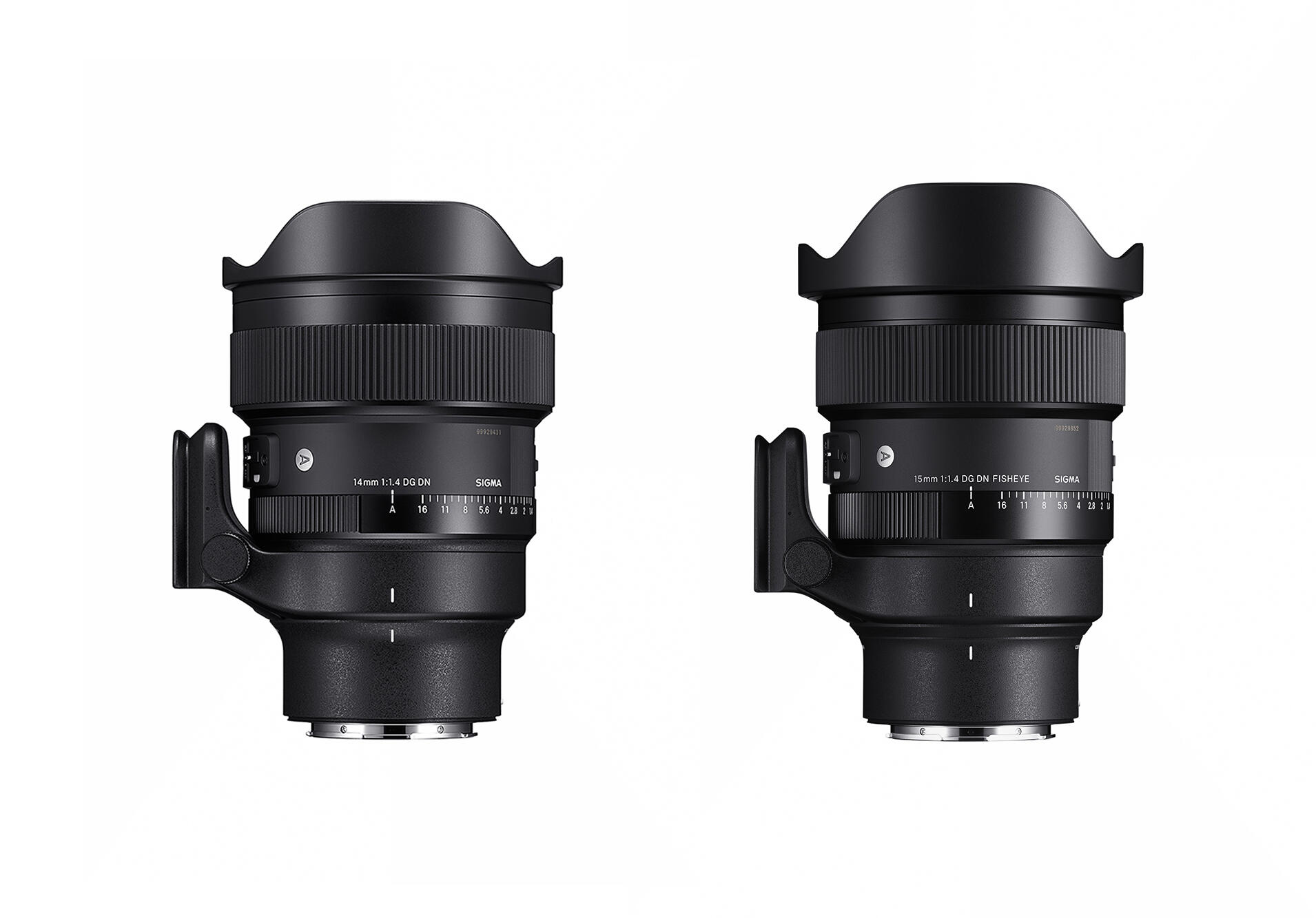 【期間限定】SIGMA DG 14mm F1.8 単焦点レンズ レンタル] SIGMA 14mm F1.8 DG HSM - シグマEFマウント広角単