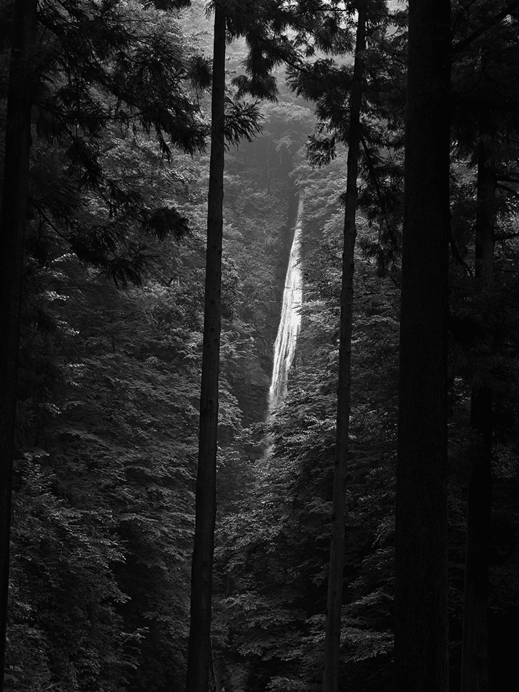 第253回 神奈川県、洒水の滝（しゃすいのたき）/ Shasui Waterfall
