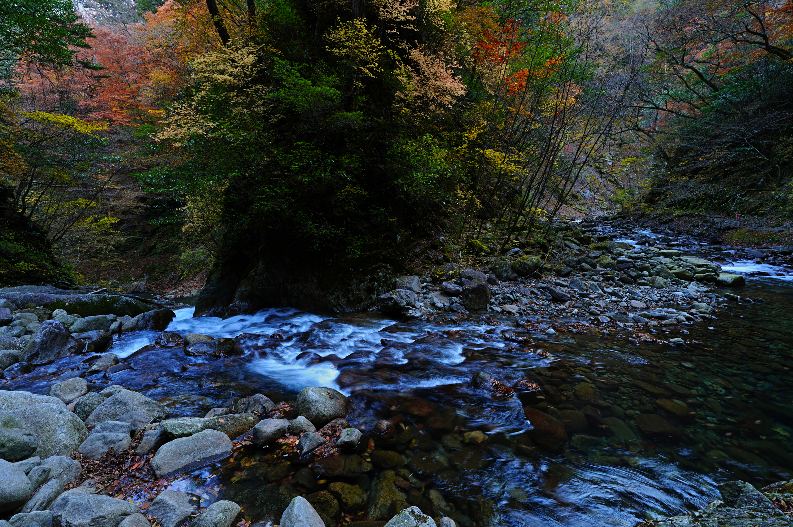 第310回 秋の西沢渓谷 / Nishizawa Gorge in Autumn | 押本龍一「私の