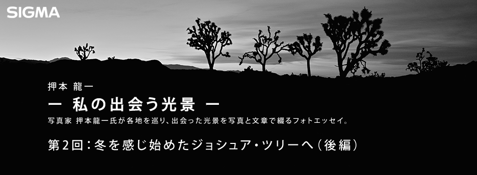 押本龍一 ― 私の出会う光景 ― : 第2回：冬を感じ始めたジョシュア・ツリーへ（後編）