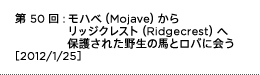 第50回：モハべ（Mojave）からリッジクレスト（Ridgecrest）へ　保護された野生の馬とロバに会う