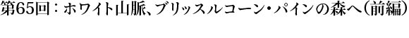 第65回：ホワイト山脈、ブリッスルコーン・パインの森へ（前編）