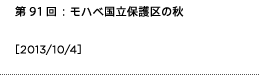 第91回：モハベ国立保護区の秋