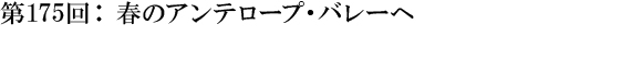 第175回：春のアンテロープ・バレーへ