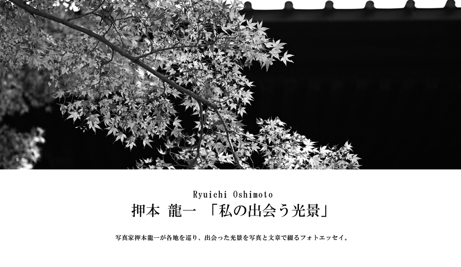 第217回：12月の鎌倉