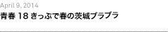 第29回：青春18きっぷで春の茨城ブラブラ